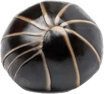 A roly-poly bug to replace the o.