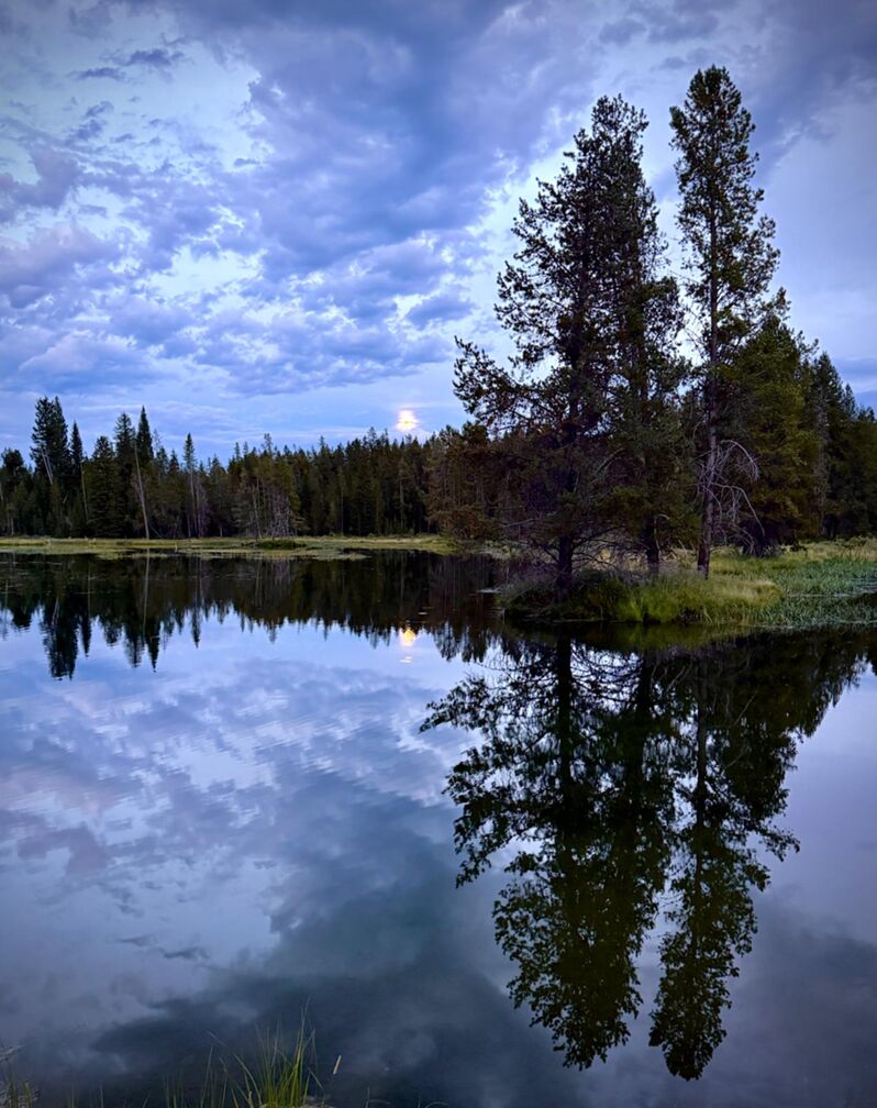 A moon reflected over a pond, with a mirrored tree piercing the clouds above. Taken by P's father. click for full resolution.