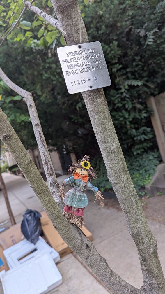A small scarecrow doll sitting on a tree limb over a sidewalk in Philly. click for full resolution.