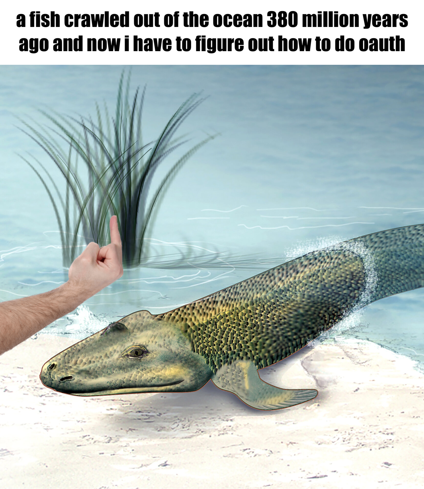 An illustration of a prehistoric crocodile-like fish crawling out of the water on to the land. There's a human hand photoshopped in to the picture, flipping off the fish. Text above the image says: a fish crawled out of the ocean 380 million years ago and now i have to figure out how to do oauth