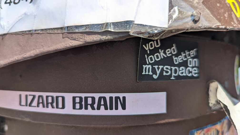 two stickers, one that says "Lizard Brain", and one that says "you looked better on myspace" click for full resolution.