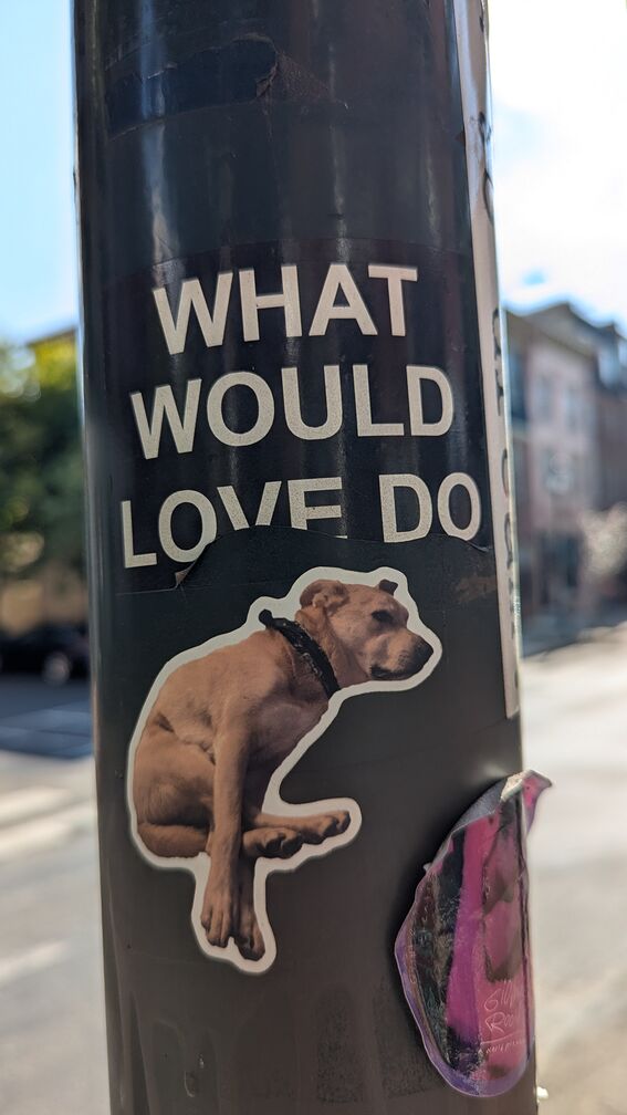 a sticker that says what would love do, followed by a photo of a dog in a weird pose click for full resolution.