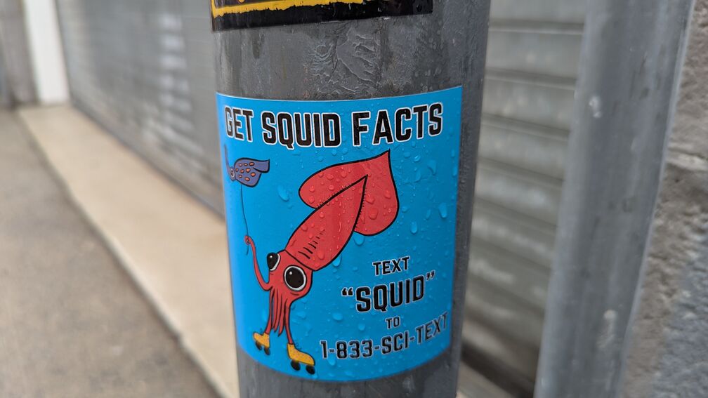 A Get Squid Facts sticker telling you to text "Squid" to 1-833-SCI-TEXT for squid facts! click for full resolution.