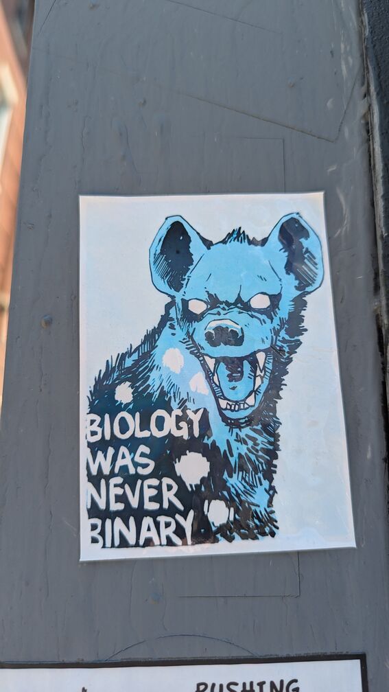 A sick drawing of a hyena with the text: Biology was never binary click for full resolution.