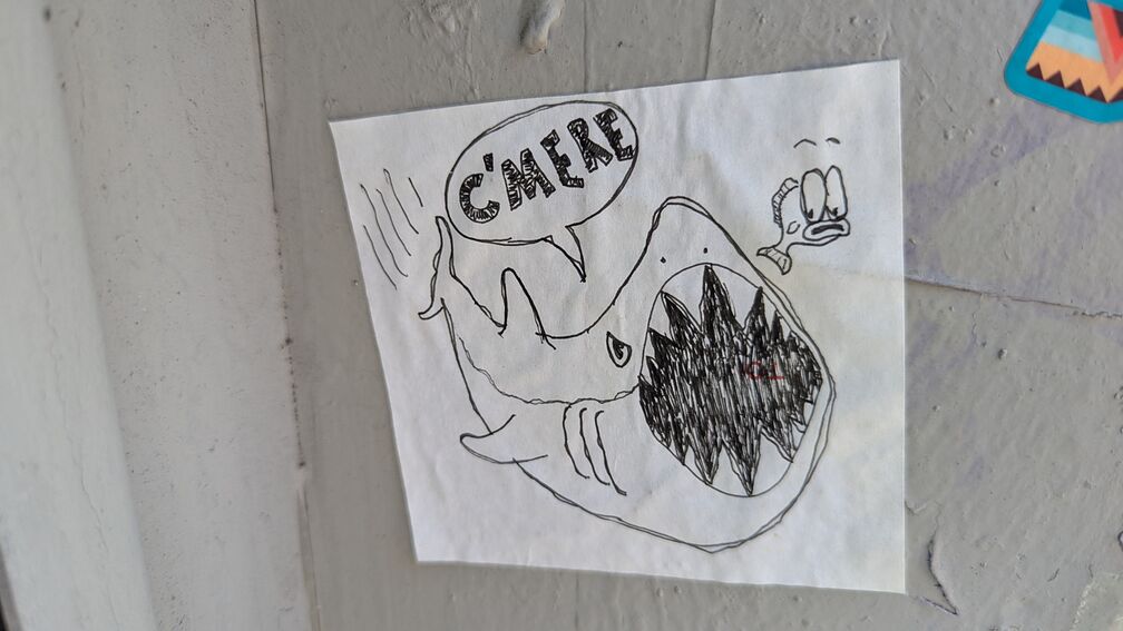 a drawing of a shark saying c'mere, chasing after a smaller fish click for full resolution.